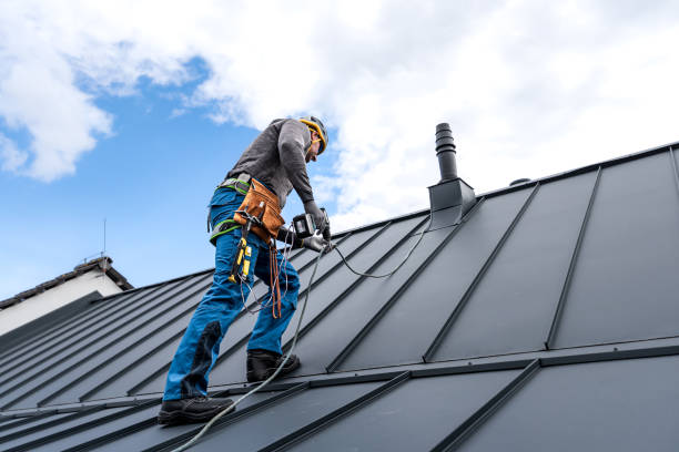 Best Skylight Installation and Repair  in Soldotna, AK